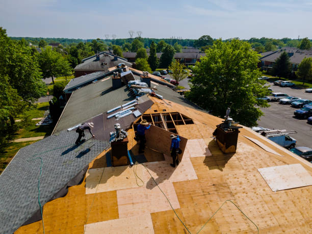Best Commercial Roofing Services  in Nahunta, GA