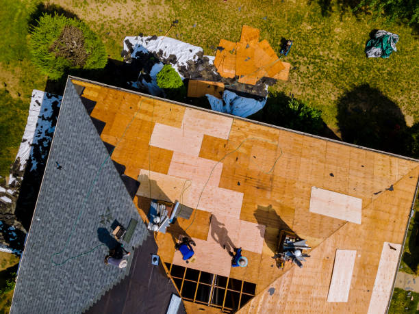 Best Shingle Roofing Installation  in Nahunta, GA