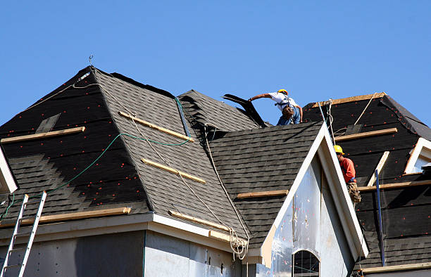 Best Roof Gutter Cleaning  in Nahunta, GA