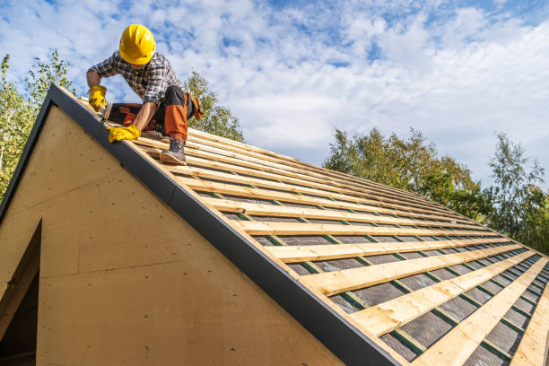 Best Storm Damage Roof Repair  in Nahunta, GA
