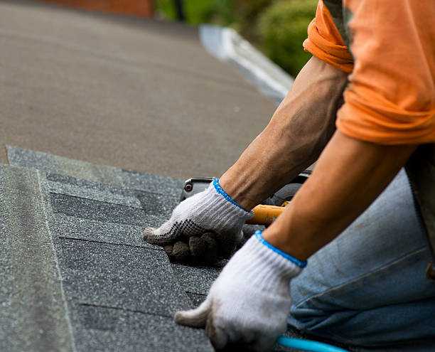 Best Roof Leak Repair  in Nahunta, GA