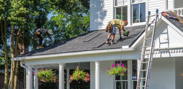 Best Metal Roofing Contractor  in Nahunta, GA