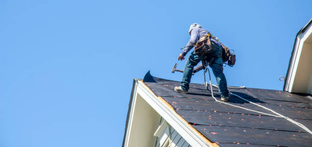 Best Gutter Installation and Roofing  in Nahunta, GA